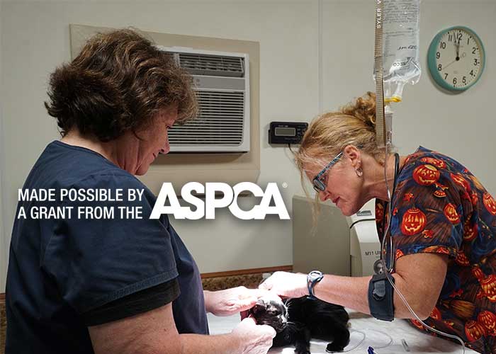 Humane Society of Cedar Creek Lake Receives Grant from ASPCA to Fund a New Surgical Room