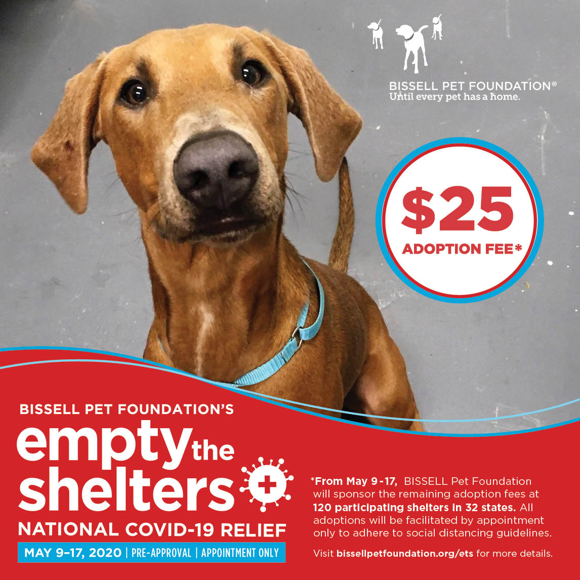 $25 Adoption Fee with $5 Microchip!